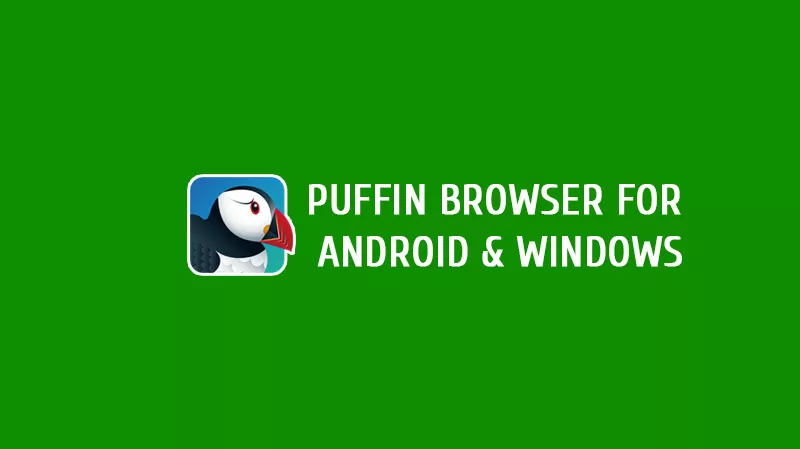 Puffin Browser Pro APK and Windows
