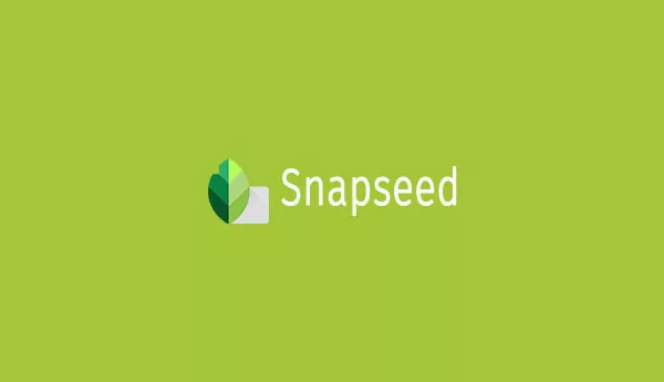 Download Snapseed Pro APK